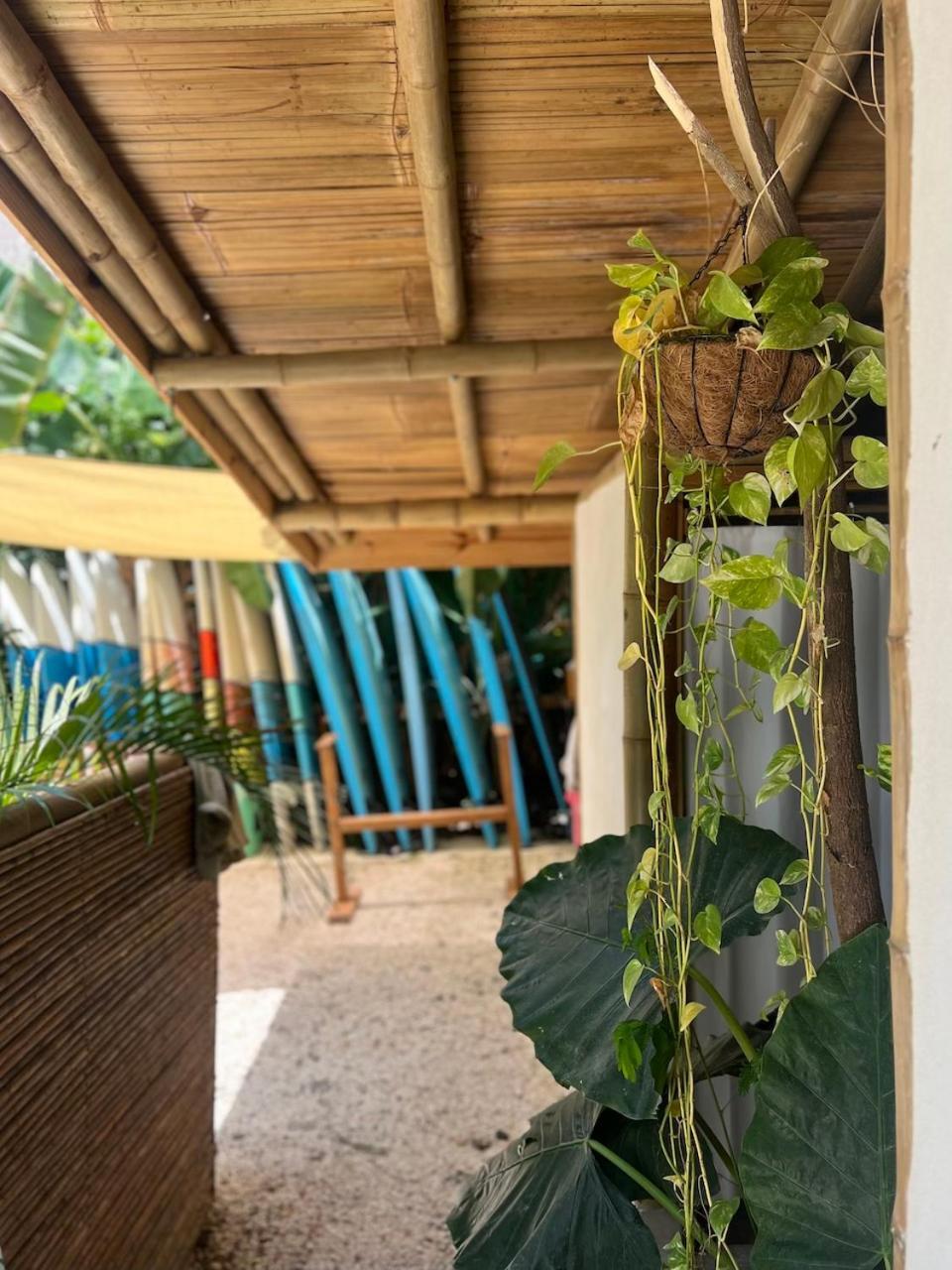 Dream Surf House Santa Teresa Hostel Playa Hermosa Cobano Kültér fotó