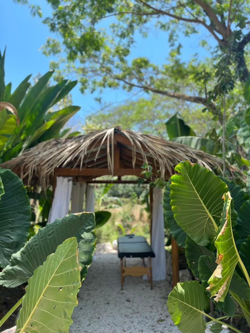 Dream Surf House Santa Teresa Hostel Playa Hermosa Cobano Kültér fotó