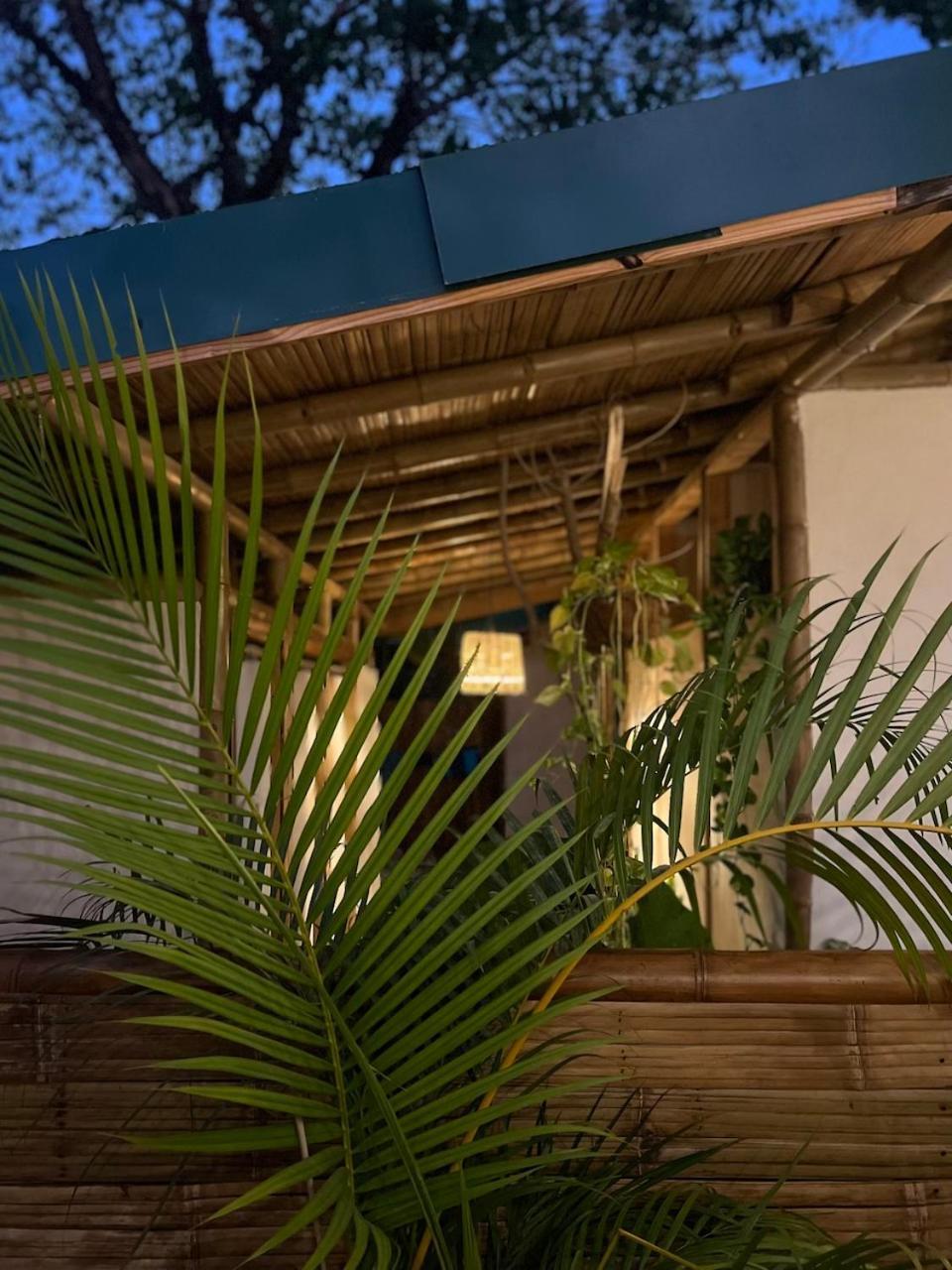 Dream Surf House Santa Teresa Hostel Playa Hermosa Cobano Kültér fotó