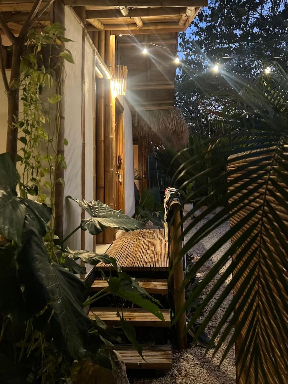 Dream Surf House Santa Teresa Hostel Playa Hermosa Cobano Kültér fotó