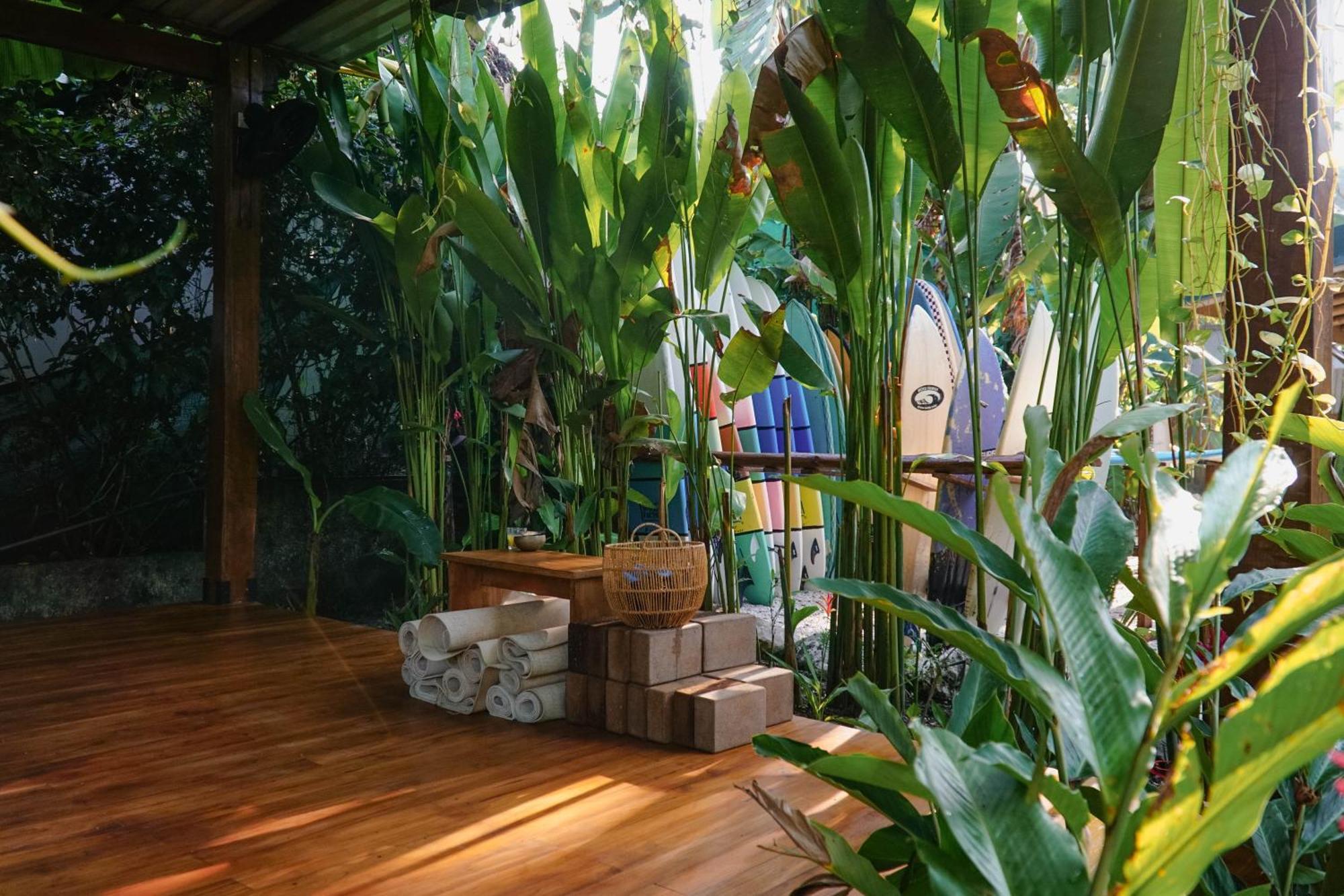 Dream Surf House Santa Teresa Hostel Playa Hermosa Cobano Kültér fotó