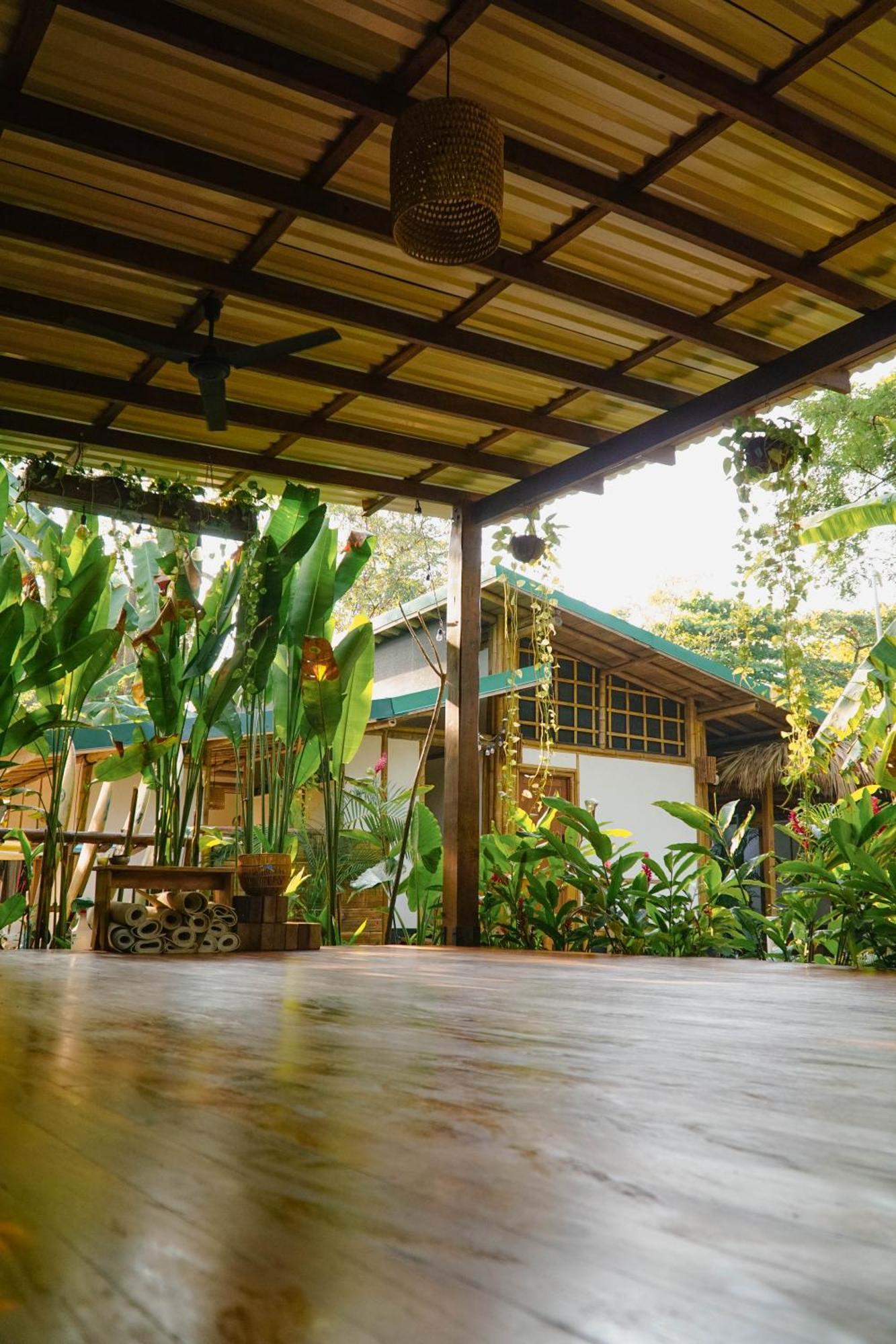 Dream Surf House Santa Teresa Hostel Playa Hermosa Cobano Kültér fotó