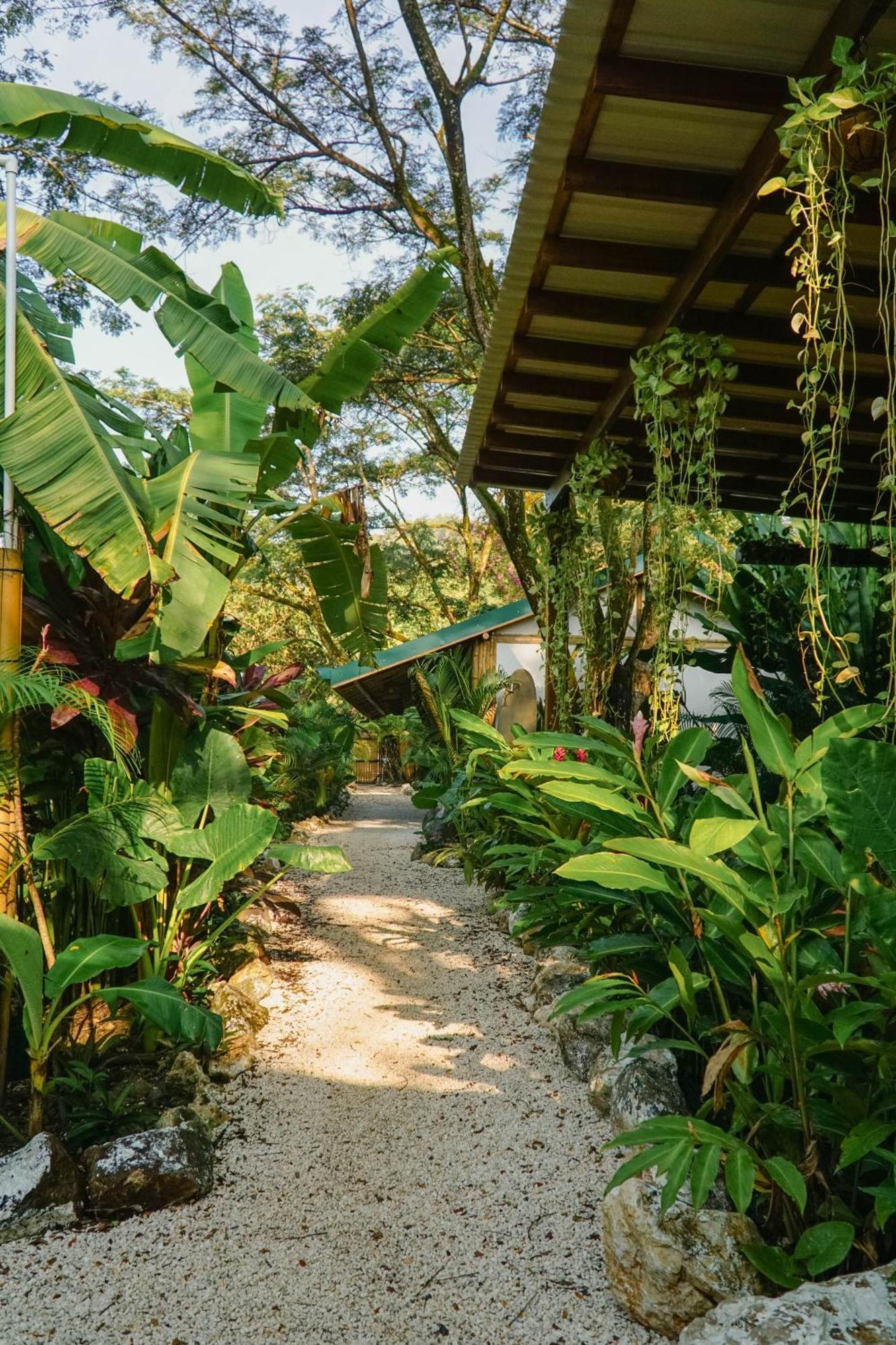 Dream Surf House Santa Teresa Hostel Playa Hermosa Cobano Kültér fotó