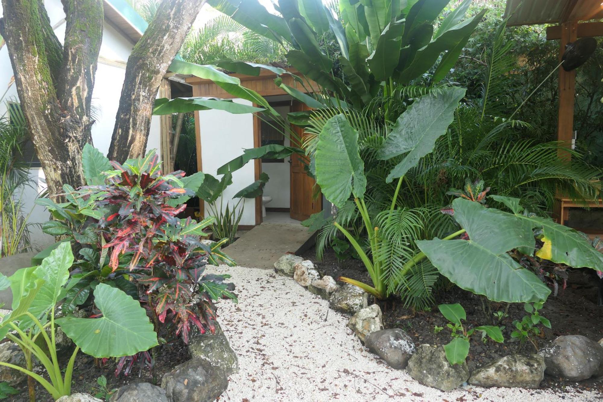 Dream Surf House Santa Teresa Hostel Playa Hermosa Cobano Kültér fotó