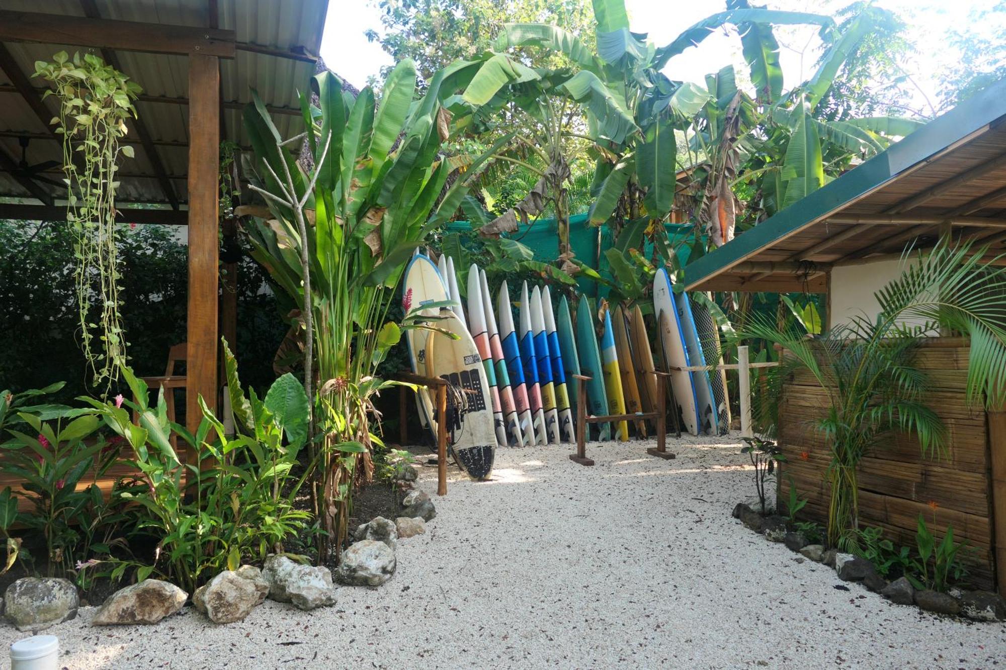 Dream Surf House Santa Teresa Hostel Playa Hermosa Cobano Kültér fotó