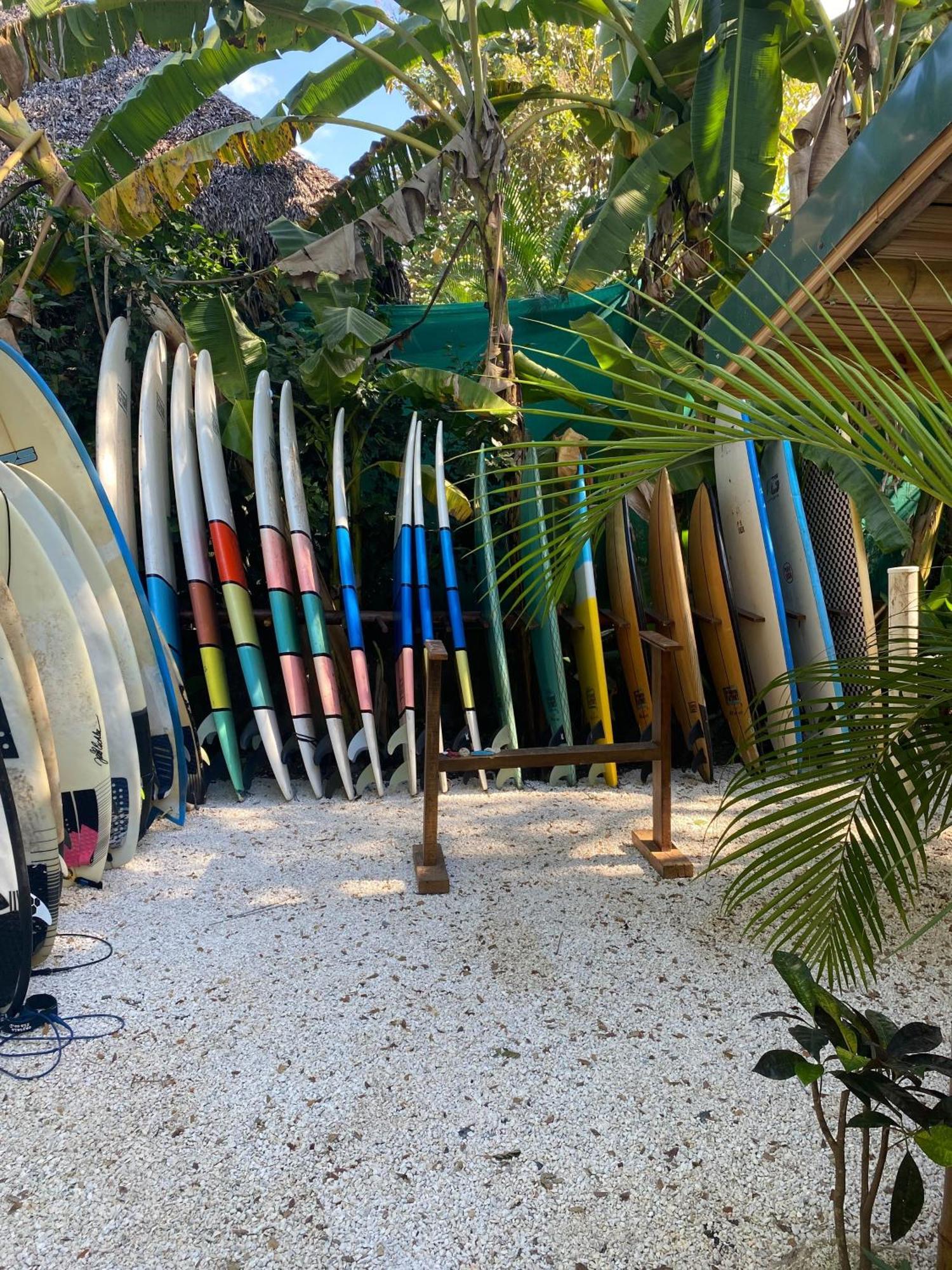 Dream Surf House Santa Teresa Hostel Playa Hermosa Cobano Kültér fotó